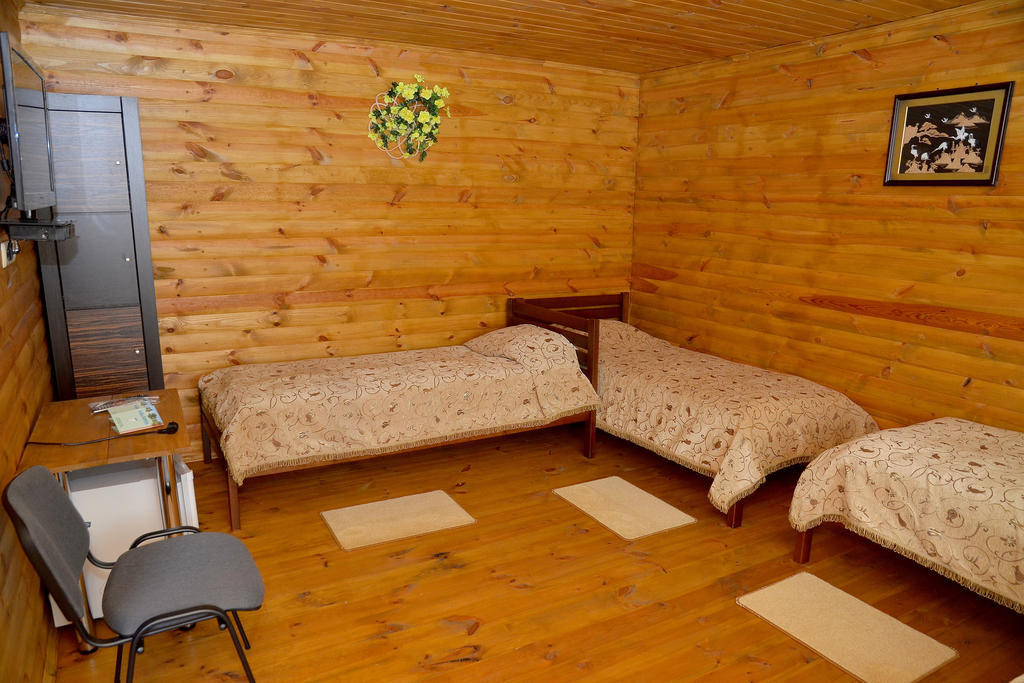 Slavutich Hotel Nova Kachovka Værelse billede